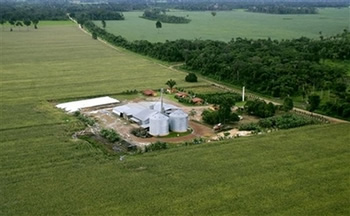 Soya Plantation (AP Photo/Andre Penner)